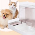 Miniatyrbillede 3 af 8: Pet Vand- og Foderautomat 2 i 1 Stor Kapacitet Transparent Vindue Automatisk Dyrefoder til Hund Kat Pink