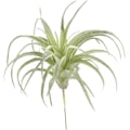 Miniatyrbillede 3 af 6: Kunstige planter til dekoration af fælleshave