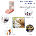 Miniatyrbillede 5 af 5: Pets Katte Hunde Automatisk Vanddispenser og Foderautomat 3.8L
