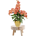 Miniatyrbild 3 av 5: Träkruka stativ, blomkruka hållare, växtdisplay stativ