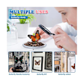 Miniatyrbillede 3 af 5: 8 stk Ægte Sommerfugleprøver - Udstoppede Sommerfugle Kunstmateriale Dekoration, Udstoppede Dyr