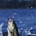 Miniatyrbilde 2 av 5: Fiskesett-kalender 2023, Fiskesett med fiskeutstyr 24-dagers kalender