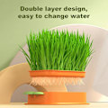 Miniatyrbilde 4 av 5: Kattegress vekstsett, vindushage sett, hydroponics kattegress boks, kattegress spirebrett, hydroponisk planter for katt hunder
