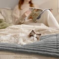 Miniatyrbillede 5 af 5: Selvvarmende hundemåtte til små hunde, kattetæppe, hyggelig kæledyrsseng, varm kæledyrsmåtte, blød kæledyrspude