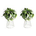 Miniatyrbild 1 av 4: 2-pack Luftväxtställ Tillandsia Metall Inomhus Bordsskiva Stor Streptophylla Luftväxt Stativ Växt R