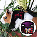 Miniatyrbilde 5 av 5: 2-pakks Totoro-seler og -liner for små dyr, marsvin, myke og komfortable bæremeis for hamster, ekorn, iller og lignende små dyr