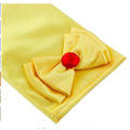 Pikkukuva 6 / 7: Gult Prinsess set till Prinsessklänningar Belle Sunny yellow one size