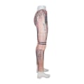 Pikkukuva 3 / 4: Mönstrade Leggings Multicolor one size