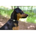 Pikkukuva 8 / 9: Hundhalsband  med stenar i form av blomma S 1.5 x 37 cm Black S