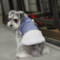 Miniatyrbillede 3 af 5: Varm fodrad hundjacka med blommor hundtäcke hundkläder MultiColor M