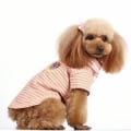 Pikkukuva 1 / 4: Hundtröja Beige tenniströja med snygg krage Hundkläder Beige L