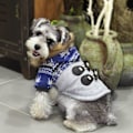 Pikkukuva 5 / 6: Vinterjacka med Oxhornsknappar för hunden Hundkläder Blue M