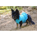 Pikkukuva 4 / 6: Hund väst med blå prickar Hundkläder för hunden Blue L
