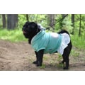 Miniatyrbillede 3 af 5: HundKlänning i sammet Hundtröja Hundkläder Green XL