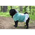 Pikkukuva 3 / 5: HundKlänning i sammet Hundtröja Hundkläder Green XL