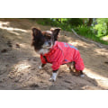 Miniatyrbild 11 av 11: Regnoverall 89 Hundregnoverall för hunden Pink L
