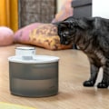 Miniatyrbilde 3 av 9: Oppladbar kattefontene med sensor