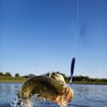 Pikkukuva 6 / 8: 6 kpl HENG JIA 10,5 cm/5,6 g pehmeitä muoviuistimia kalastustarvikkeisiin (sininen)