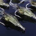 Miniatyrbilde 2 av 8: 10 stk Reke Simulering Myk Reke Agnet Kroken Fiskeutstyr Bass Fiske Lokker
