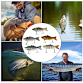 Miniatyrbillede 6 af 8: 5 stk 10 cm Multi-sektioner Kunstige Fiske-agn Fiskegrej Havfiskeri Synkende Wobblers med Krog