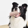 Miniatyrbild 5 av 8: Hund Pipsleksak Tandgnisslande Bittålig Simulerad Jordnötsform Valp Tuggleksak för Teddy Kaffe Färg