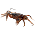 Miniatyrbild 6 av 8: 3D-simulering Mjuk fiskebete Mask lockar Vevbeten Krokar Tackle