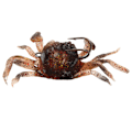 Miniatyrbild 7 av 8: 3D-simulering Mjuk fiskebete Mask lockar Vevbeten Krokar Tackle