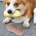 Miniatyrbild 6 av 8: Hund Pipsleksak Tandgnisslande Bittålig Simulerad Jordnötsform Valp Tuggleksak för Teddy Kaffe Färg