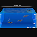Miniatyrbild 3 av 8: 3D-simulering Mjuk fiskebete Mask lockar Vevbeten Krokar Tackle