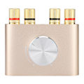 Miniatyrbillede 6 af 8: Mini Bluetooth Power Digital Forstærker 100W Hifi Stereo Audio Player Amp EU-stik