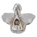 Miniatyrbillede 1 af 8: Kranium Brilleholder Dekorativ Kunstig Harpiks Statue Briller Display Holder til Hjemmet Kontor
