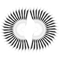 Miniatyrbild 8 av 8: 50 st 2.4in pilar Vanes DIY Spiral Fjäder Wing Konkurrensbåge Recurved båge Tillbehör argent