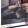 Miniatyrbillede 8 af 8: Børnepuslespil HD-udskrivning 1000 stk. 3 lag pædagogisk papirmateriale 1,5 mm tykkelse 8 zoner bagsidepuslespil Kunstværk til spil Q1017 Kat Tiger