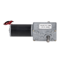 Miniatyrbillede 8 af 8: Gearmotor med dobbelt aksel DC 12V selvlåsende hastighedsreduktion CW CCW snekkegearmotor 40RPM