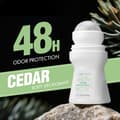 Flora Ruby Cedar Body Deodorant Roll-On, 48 timmars luktskydd, fräsch träig doft, 1,59 oz / 50 ml cedar