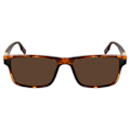 Miniatyrbild 1 av 3: Solskenes - Converse - CV520S-RISE-UP-242 - Brun - Wayfarer - UV-skydd 3 kastanj
