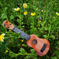 Miniatyrbild 4 av 5: Barn Nybörjare Klassisk Ukulele Gitarr Pedagogisk musikal 1