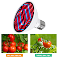Miniatyrbilde 4 av 5: 300LED Hydroponic Growth Light Led Grow Bulb MR16 Full Spectrum 300LED