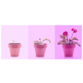 Miniatyrbilde 3 av 5: 300LED Hydroponic Growth Light Led Grow Bulb MR16 Full Spectrum 300LED