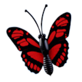 Pikkukuva 3 / 5: 16X Butterfly Miniature Fairy Garden Ornament Pot Craft Dollho Multicolor 16pcs