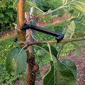 Miniatyrbillede 3 af 8: 10 Stk Frugttræ Grene Holder Frugtgren Spreder Træ BH Black