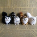 Miniatyrbilde 3 av 8: e Simulering Cat Plysj Leker Myk utstoppet kattunge Modell Cat Real A3 one size