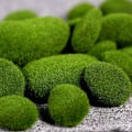 Miniatyrbilde 4 av 8: 20 Stk 3 Størrelse Kunstig Mose Stein Rock Grønn Mose Dekket DIY green one size