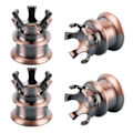 Pikkukuva 5 / 8: 4 kpl Moottorin ruuvikorkit Suojukset Crown Styling Sopii XL883/Big Twin 1340 Evo/Twin Cam -malleihin Pronssi