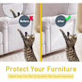 Miniatyrbild 3 av 5: anti-scratch för katter, 8 stycken möbelskydd, dubbelsidigt genomskinligt anti-scratch för katter - soffa, dörr, väggar