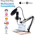 Miniatyrbillede 2 af 3: USB-mikrofonsæt til podcasting med stødsikkert stativ og popfilter