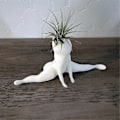 Miniatyrbillede 2 af 5: 2 STK Sjov Stor Numse Spøgelse Plantekasse, Prank Gave Dekor Plantekasse Luftbregne Display Stand, Stor Numse Spøgelse