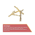 Miniatyrbild 3 av 5: Metall Kristallkula Displayhållare Äggsfär Stativ Guld Modern Enkelhet för Heminredning