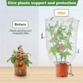 Miniatyrbillede 5 af 5: Justerbart Aftageligt Tomatbur, til Have