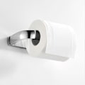 Miniatyrbillede 2 af 4: Håndklædering, 304 rustfrit stål poleret krom metalfinish, toiletpapirholder til badeværelse, patenteret lim + selvklæbende